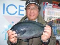 �{��@�ɒn�m����N���P,�Q�L��