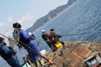 ���{����ƏH�R����