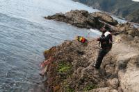 ���������HIT