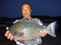 �{��@���c����@�N���Q�D�R�����@�T�P�����I�I�@�`�����`