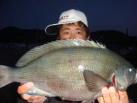 ���@�Ă炾����@�@�P�D�V�����@�`�R�^�c�`