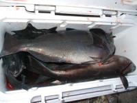 �����@�b�コ��̃N�[���[