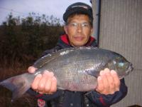 �F�{�@���コ��@�N���Q�D�O�����@�S�X�D�T�����I�@�`�^���|�`