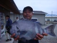 ����@���삳��@�Α�Q�D�O�����@�`�^�c�`�㕨�ŁI