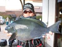 �{��@���Y����P,�V�L��