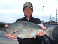 �{��@�Ɣ�����