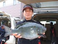 �{��@���䂳��