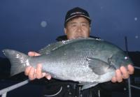 �Ο����@�L�n�G��@�N��(2.4kg 52cm)