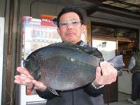 ���s�@���Y����N���@�Q,�O�T�L��