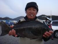 �����@��i����@�N���P�D�X�����@�`���o�G�`