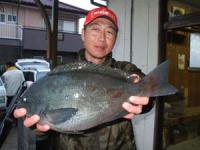 ����@�E�c����@�N���@�P,�V�L��