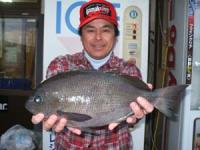 �����@���邳��@�N���@�P,�U�T�L��