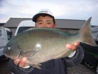 ���H�@���c����@�@�I�E�i�E�K�P�D�U�����@�S�T�����I�I�`�^�c�`