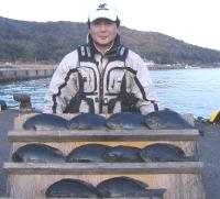 �򓇁@�|������(800g�O��j