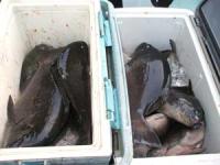 �������@�b�コ��@���؂���U�O�O�`�P,�V�L���@�P�W��