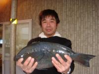 �{��@���؂���@�N���P�D�X�����@�`���o�G�`