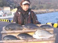 �z�c���@�����@��,͑�(5�`1.5�s�j