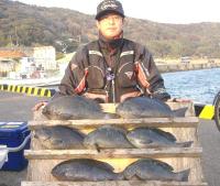 ���؎��@���޴�@��(800�`1.8�s�j