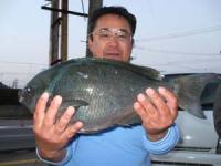 �����@��l����@�Q�C�O�T�L��