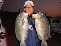 �����@��삳��@�N���P�D�V�����E�Q���@�`�r���`