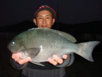 �����@��{����@�N���P�D�T�����@�`�r���`