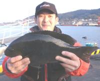 �򓇁@����@��(1.2kg)