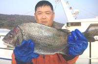  �򓇁@���؎��@��(1.58kg)