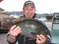 �����@����₳��@�N���@�P,�X�Q�L��