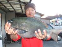 ���x�@�g�삳��@�N���@�Q,�P�L��