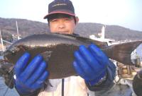 �򓇁@��㎁�@��(1.75kg)