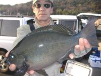  ���޴�@���c���@��(1.1kg)