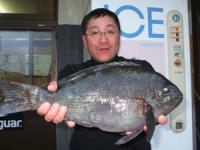 �k�쒬�@��������N���@�P,�W�T�L��