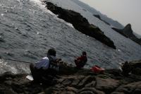 �͈䂳��A��삳��A���{����