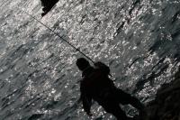 ���{����̃����g��