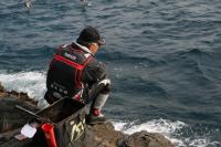 ���{����