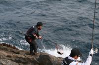 ��荞�񂾂��̂́E�E�E