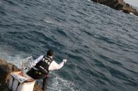 �͈䂳��ɁI�I