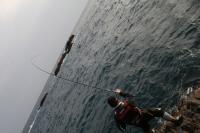 ���{����ɂ�����ȃA�^�����E�E�E