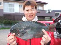 �����@�т���@�N���@�P,�Q�L��