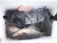 �{��@��コ��N���@�P�Q��