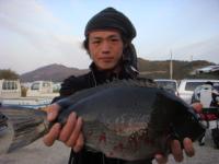 ���@���؂���@�N���P�D�W�����@�`�r���`