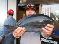 ���삳��@�N���@�P,�S�L���@�v�S��