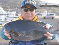 ��o�G�@���c��(1.2kg)