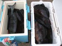 �㓡����@���삳��̃N�[���[ �N���@�W�O�O�`�Q,�R�T�L���@�Q�O���H