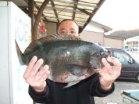 ���@�ێR����N���@�Q,�P�L��