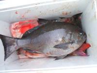 �k��@��������N���@�P,�T�L��