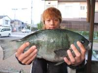 �{��@��������@�N���@�P,�T�T�L��