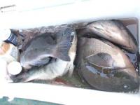 �{��@���Y���񖞃^���I