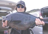 �ؖ{�� ����޴�@��(2kg47cm)