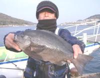 ���޴�@���c����(1.56kg)